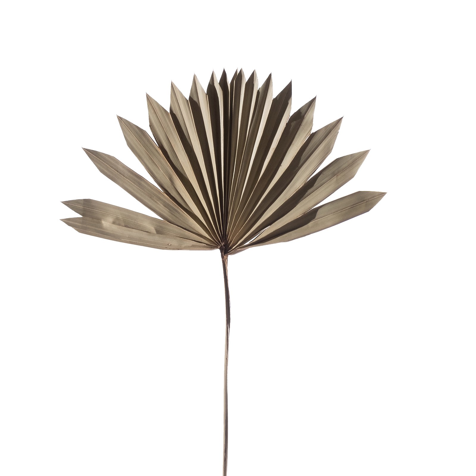 Supergreens Τεχνητό Φύλλο Φοίνικας "Serenoa" Φυσικό 30x30x50 εκ.