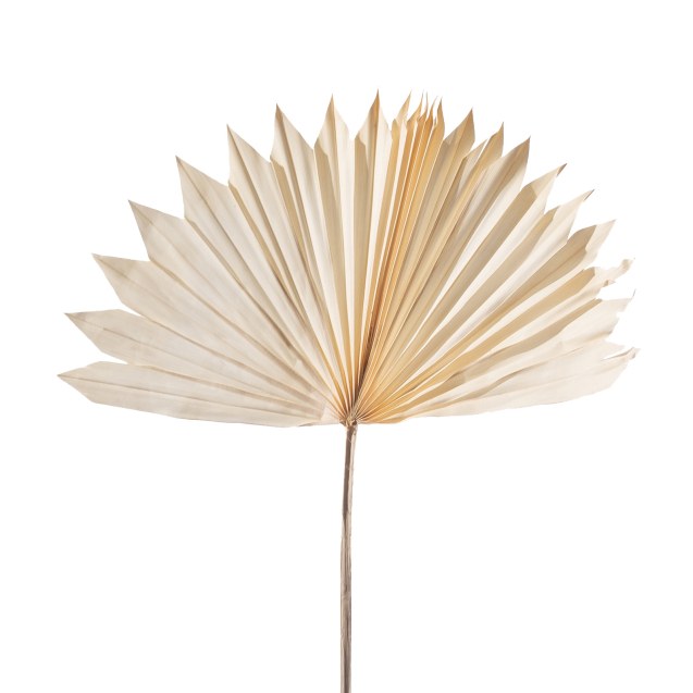 Supergreens Τεχνητό Φύλλο Φοίνικας "Serenoa"...