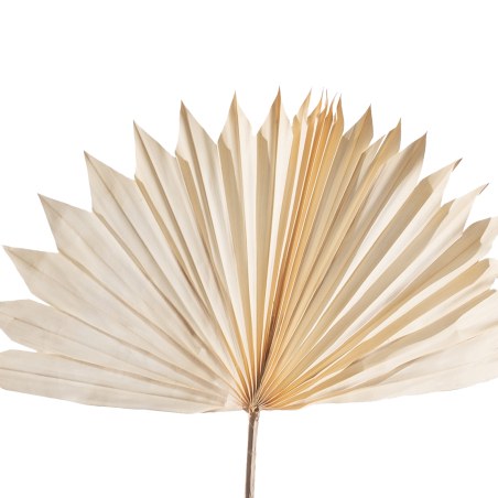 Supergreens Τεχνητό Φύλλο Φοίνικας "Serenoa" Λευκό 30x30x50 εκ.