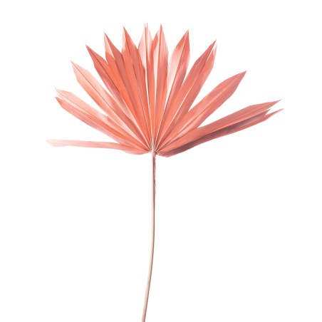 Supergreens Τεχνητό Φύλλο Φοίνικας "Serenoa" Ροζ 30x30x50 εκ.