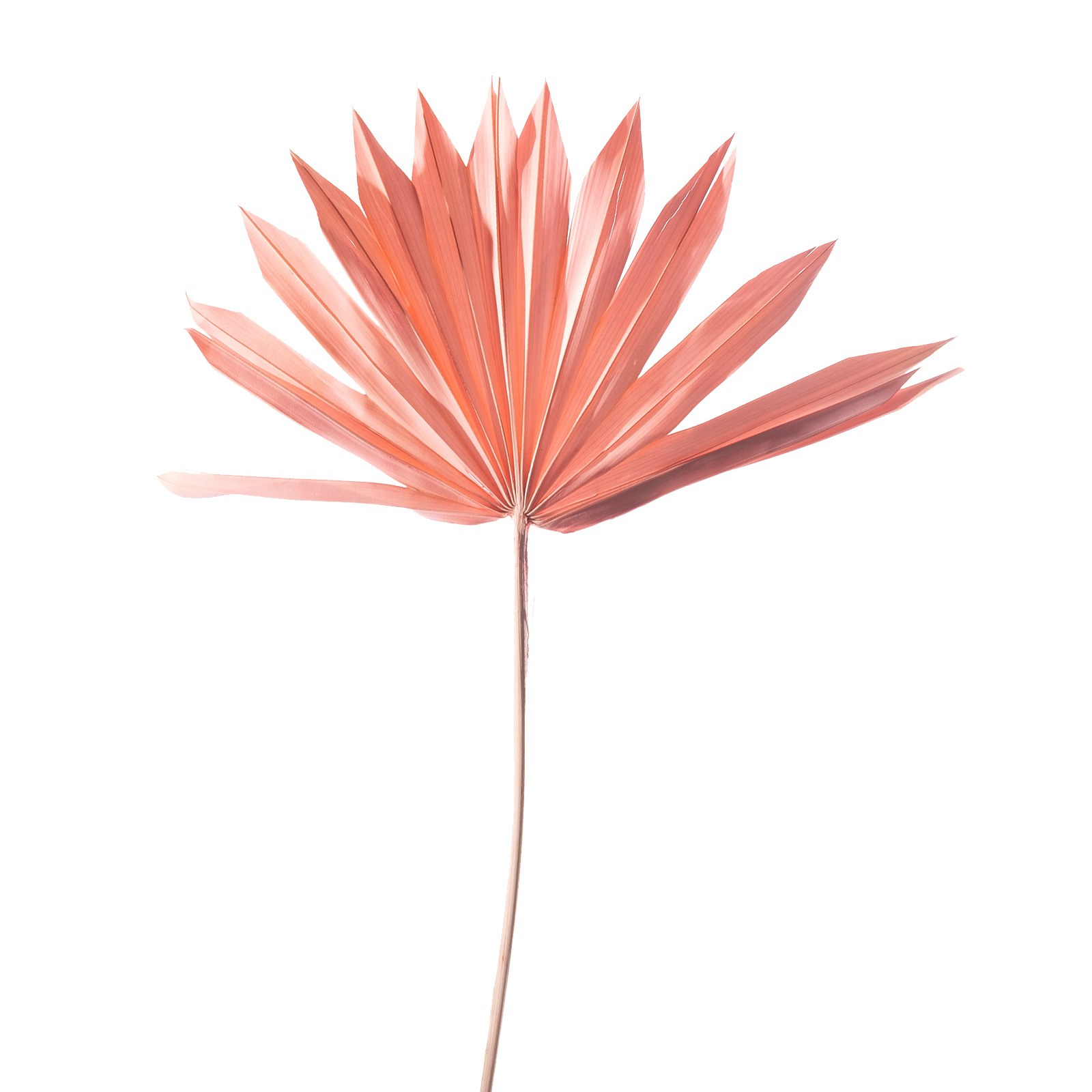 Supergreens Τεχνητό Φύλλο Φοίνικας "Serenoa" Ροζ 30x30x50 εκ.