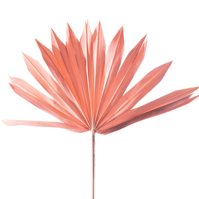 Supergreens Τεχνητό Φύλλο Φοίνικας "Serenoa"...