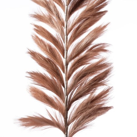 Supergreens Τεχνητό Κλαδί Pampas "Pilosa" Καφέ 120 εκ