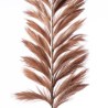 Supergreens Τεχνητό Κλαδί Pampas "Pilosa" Καφέ 120 εκ