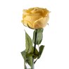 Supergreens Τεχνητό Κλωνάρι Τριαντάφυλλο "Garden" Κίτρινο 57 εκ.