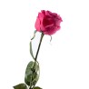 Supergreens Τεχνητό Κλωνάρι Τριαντάφυλλο "Garden" Φούξια 57 εκ.