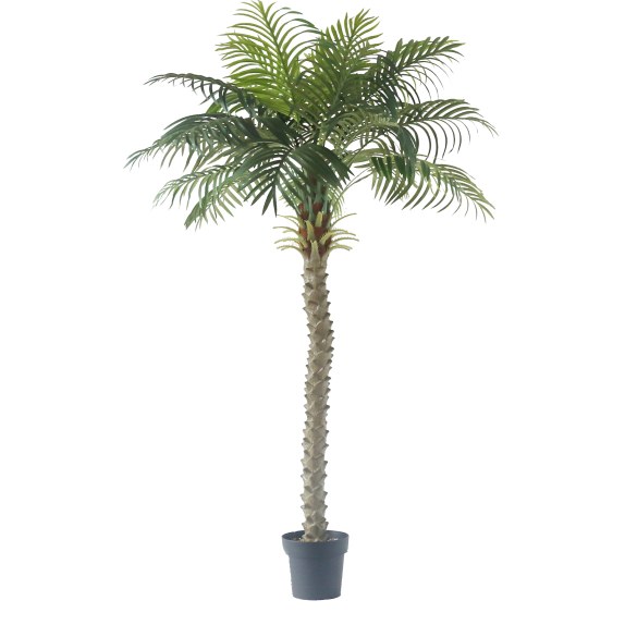 Supergreens Τεχνητό Δέντρο Φοίνικας "Mirage" 170 εκ.