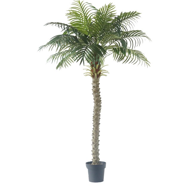 Supergreens Τεχνητό Δέντρο Φοίνικας "Mirage"...