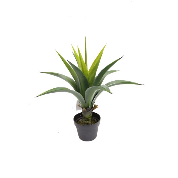 Supergreens Τεχνητό Φυτό Αγαύη "Agave" Πράσινο 66 εκ.