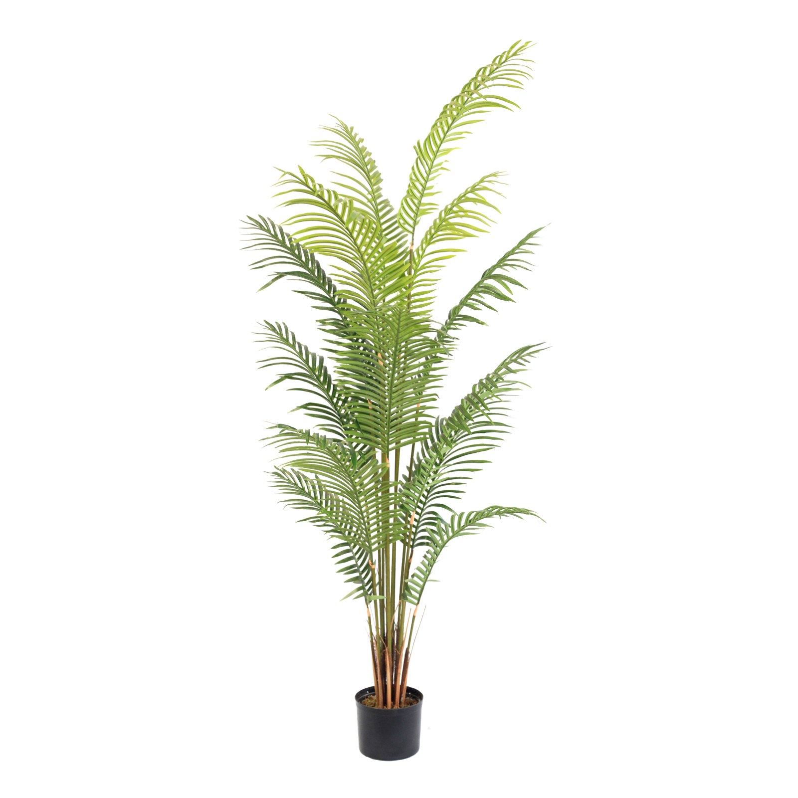 Supergreens Τεχνητό Δέντρο Αρέκα "Horizon" Πράσινο 200 εκ.