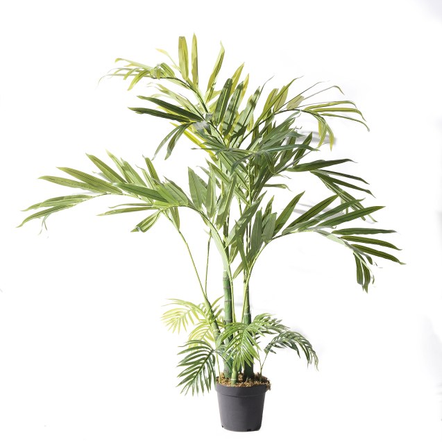 Supergreens Τεχνητό Δέντρο Αρχοντοφοίνικας...