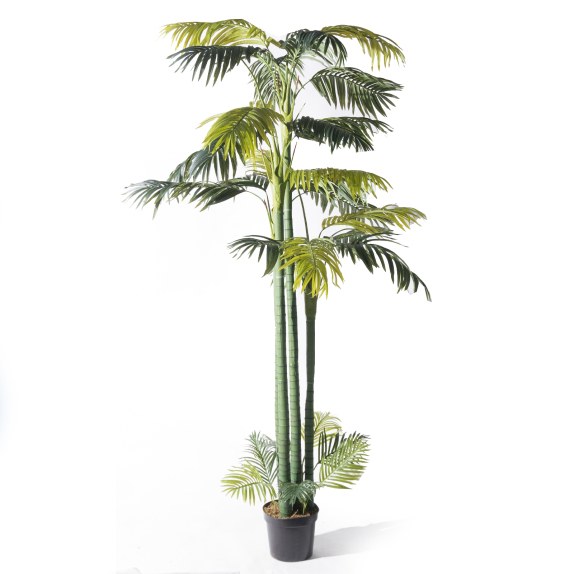 Supergreens Τεχνητό Δέντρο Αρχοντοφοίνικας "Betel Noble"...