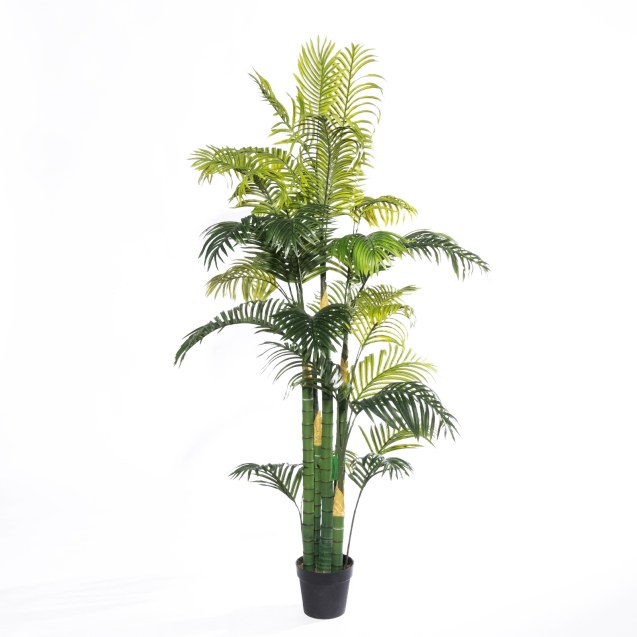 Supergreens Τεχνητό Δέντρο Αρέκα "Shade"...