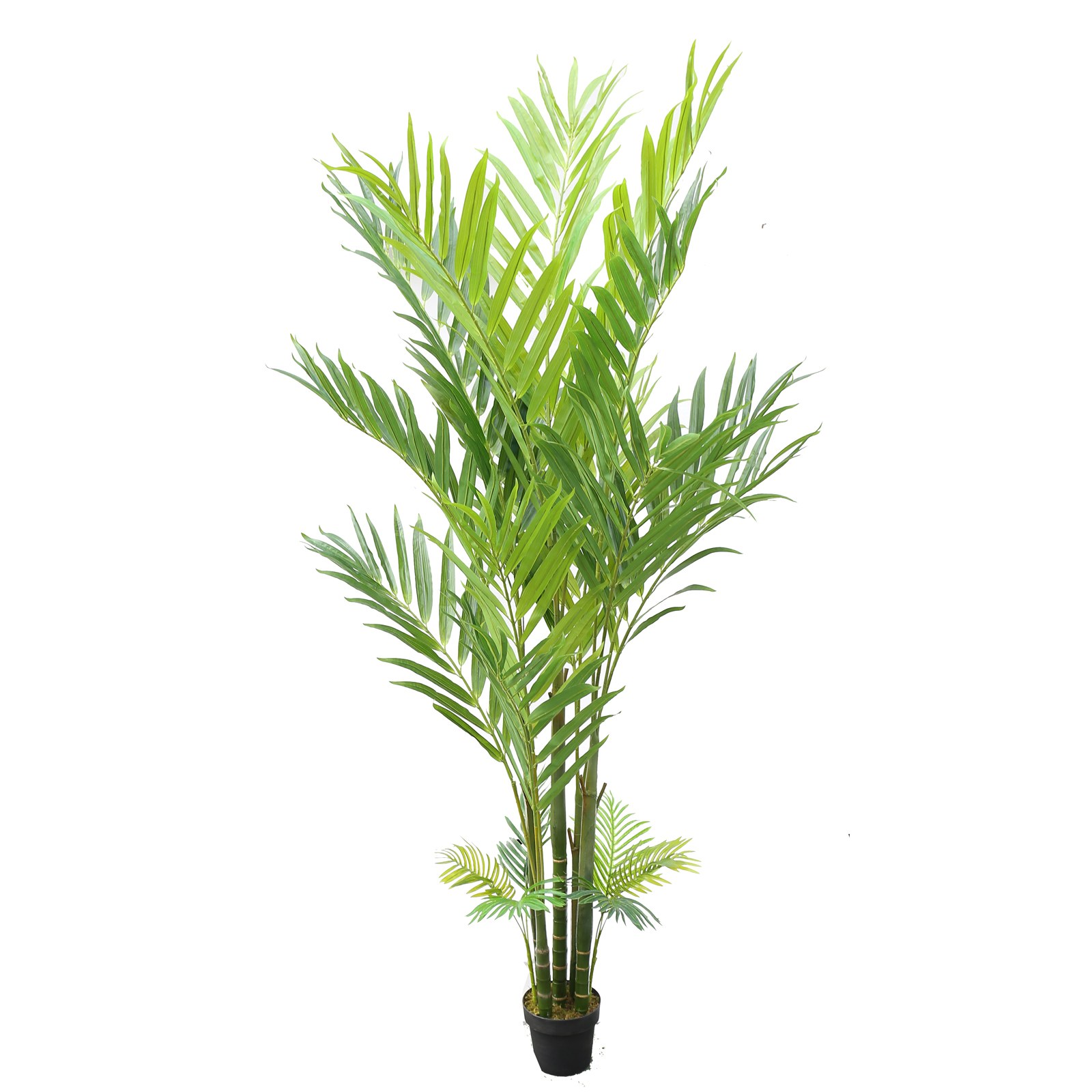Supergreens Τεχνητό Δέντρο Φοίνικας "Summit" Πράσινο 250 εκ.