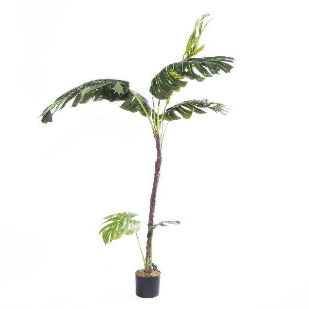 Supergreens Τεχνητό Δέντρο Μονστέρα "Verdant"...