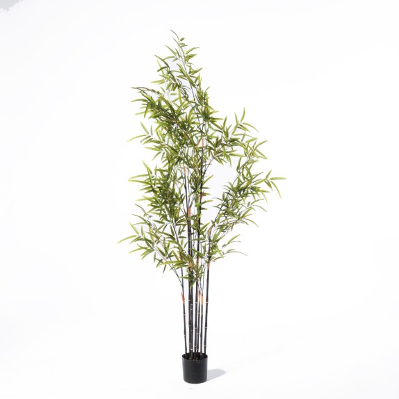 Supergreens Τεχνητό Δέντρο Μπαμπού "Nigra" Πράσινο 150 εκ.