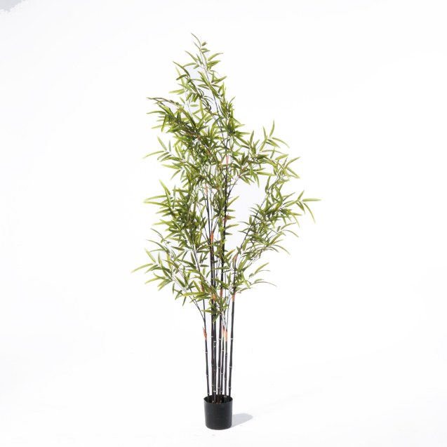 Supergreens Τεχνητό Δέντρο Μπαμπού "Nigra"...
