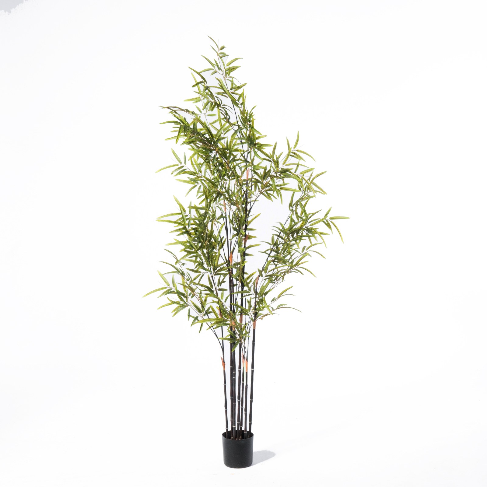 Supergreens Τεχνητό Δέντρο Μπαμπού "Nigra" Πράσινο 150 εκ.