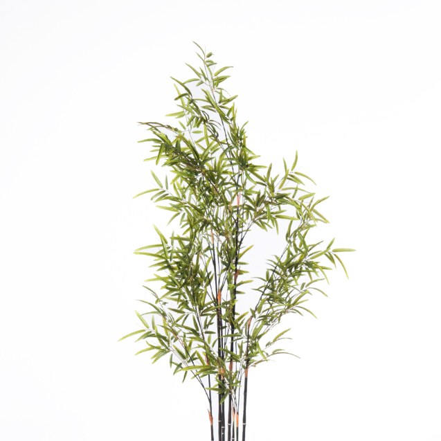 Supergreens Τεχνητό Δέντρο Μπαμπού "Nigra"...