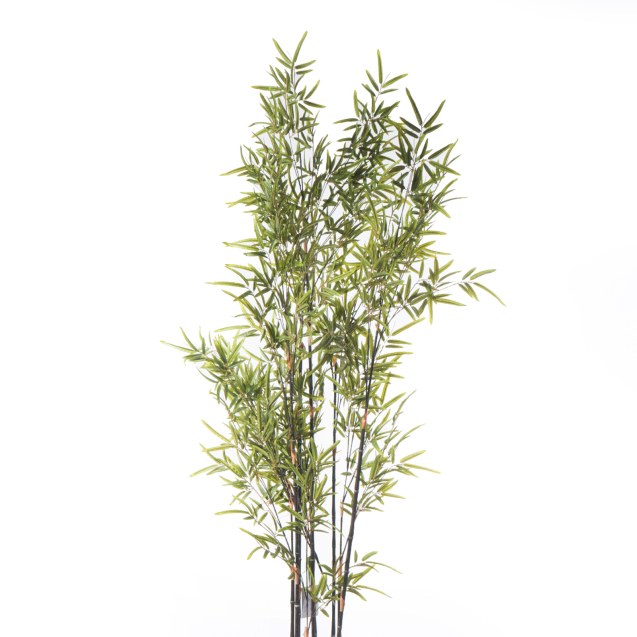 Supergreens Τεχνητό Δέντρο Μπαμπού "Nigra"...