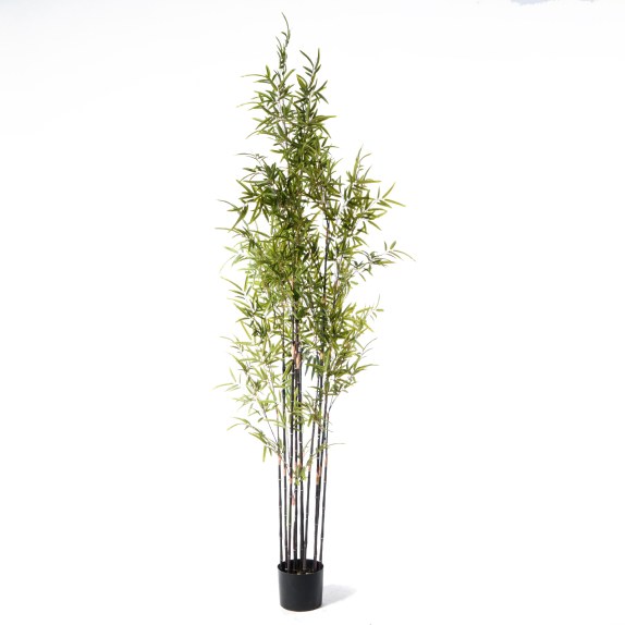 Supergreens Τεχνητό Δέντρο Μπαμπού "Nigra" Πράσινο 210 εκ.