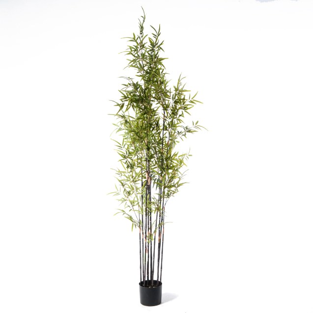 Supergreens Τεχνητό Δέντρο Μπαμπού "Nigra"...