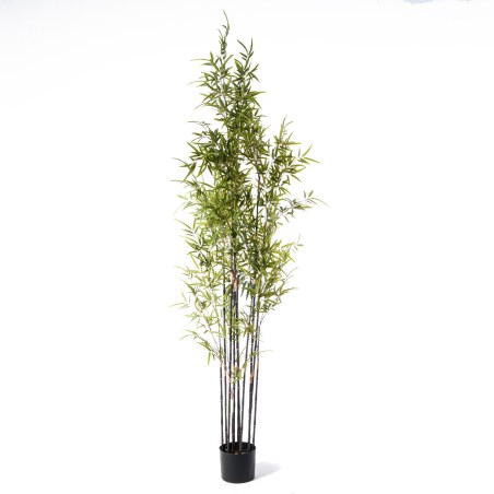 Supergreens Τεχνητό Δέντρο Μπαμπού "Nigra" Πράσινο 210 εκ.