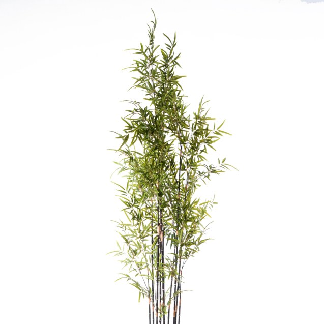 Supergreens Τεχνητό Δέντρο Μπαμπού "Nigra"...