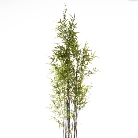 Supergreens Τεχνητό Δέντρο Μπαμπού "Nigra" Πράσινο 210 εκ.