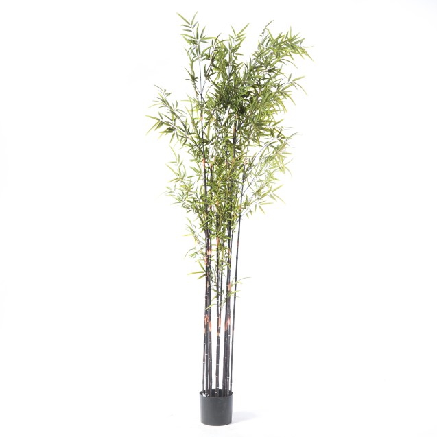 Supergreens Τεχνητό Δέντρο Μπαμπού "Nigra"...