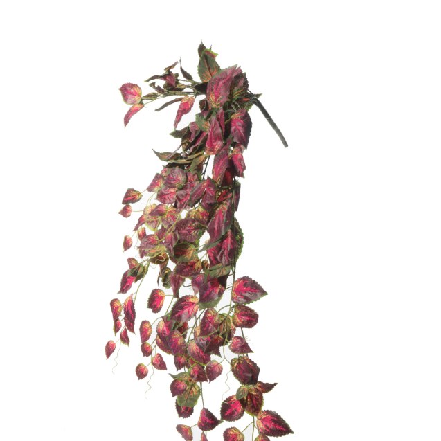 Supergreens Τεχνητός Κρεμαστός Κολεός...