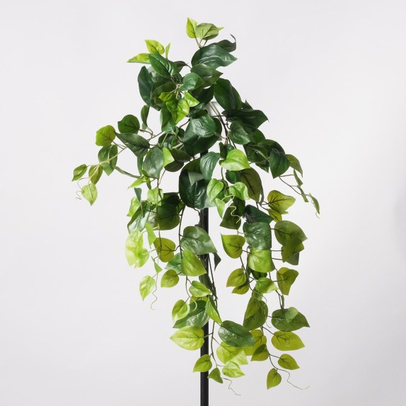 Supergreens Τεχνητός Κρεμαστός Φίκος "Benjamin" Πράσινος...