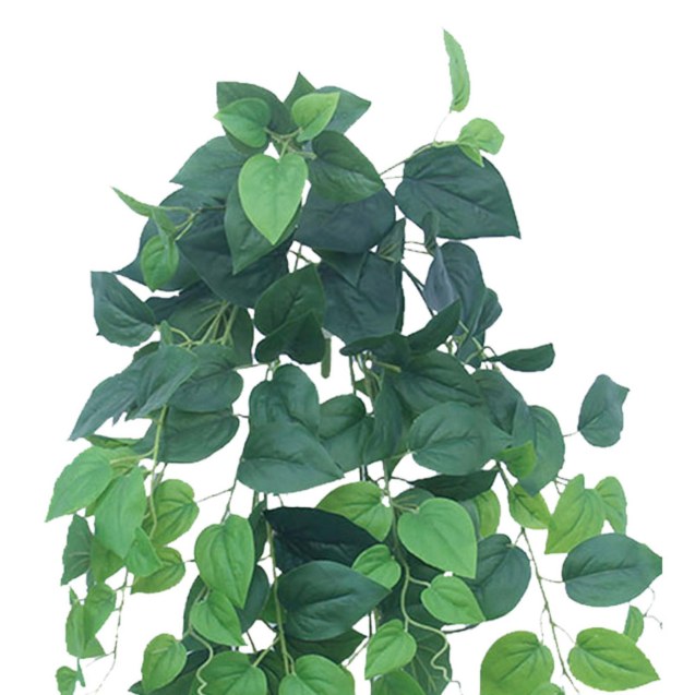 Supergreens Τεχνητός Κρεμαστός Φίκος "Benjamin"...