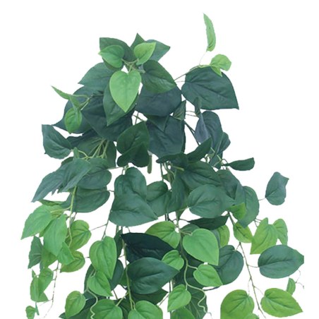 Supergreens Τεχνητός Κρεμαστός Φίκος "Benjamin" Πράσινος 70 εκ.