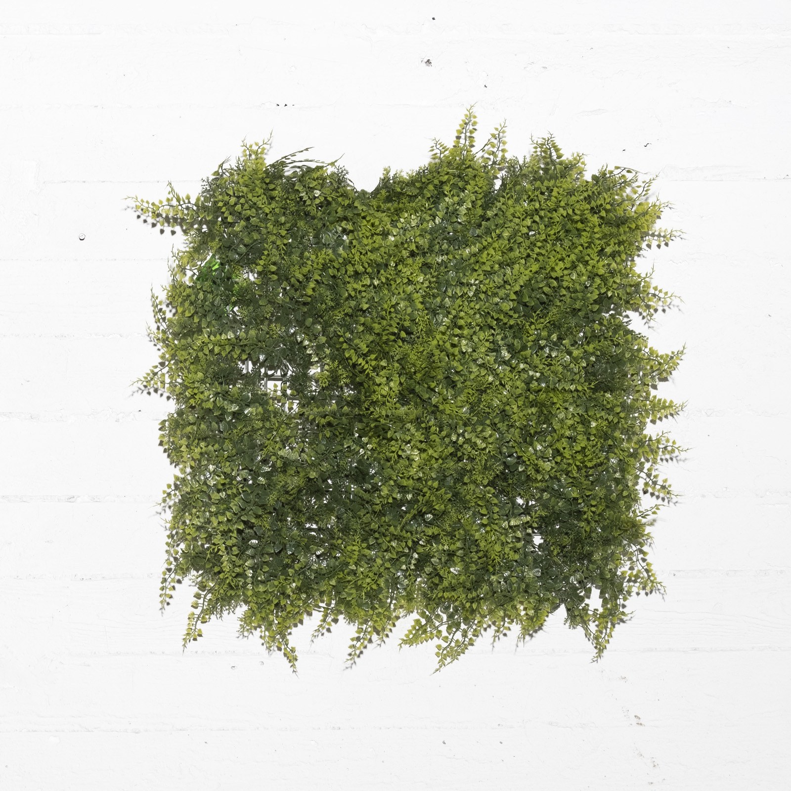 Supergreens Τεχνητή Φυλλωσιά Φτέρη Πράσινη 50x50 εκ.