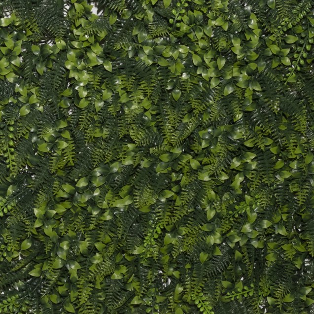 Supergreens Τεχνητή Φυλλωσιά Φτέρη με Φίκο...