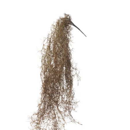 Supergreens Τεχνητή Κρεμαστή Τιλάνσια Καφέ 90 εκ.