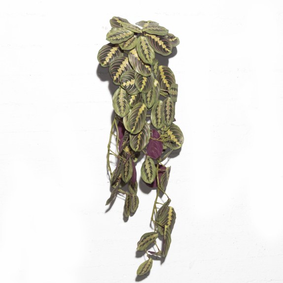 Supergreens Τεχνητή Κρεμαστή Καλαθέα "Maranta" Πράσινη 85...