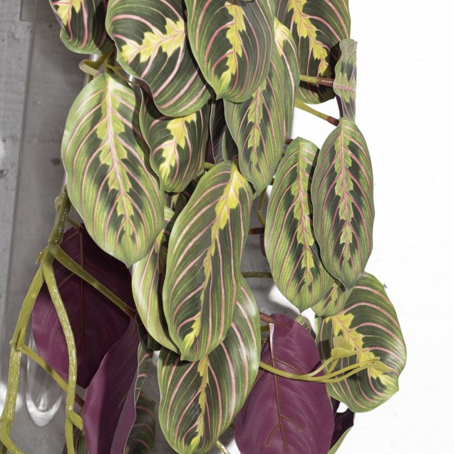 Supergreens Τεχνητή Κρεμαστή Καλαθέα "Maranta"...