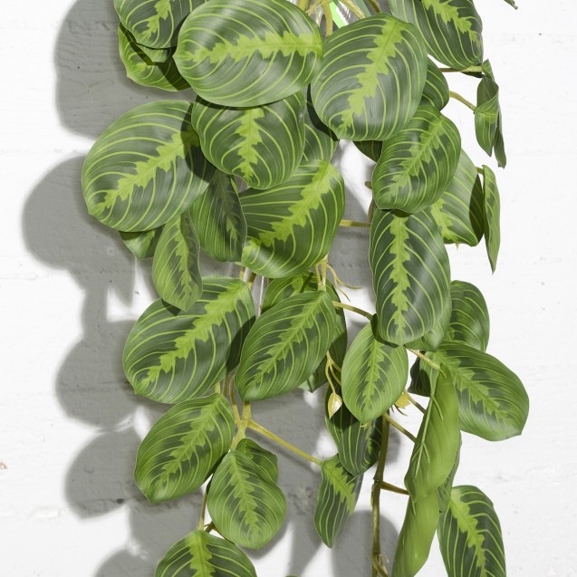 Supergreens Τεχνητή Κρεμαστή Καλαθέα "Zebrina"...