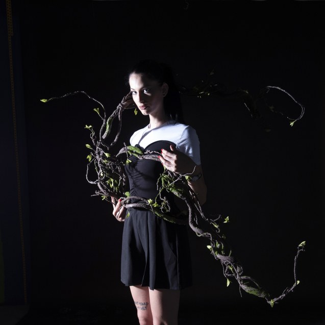 Supergreens Τεχνητή Γιρλάντα Αποξηραμένο Κλαδί...