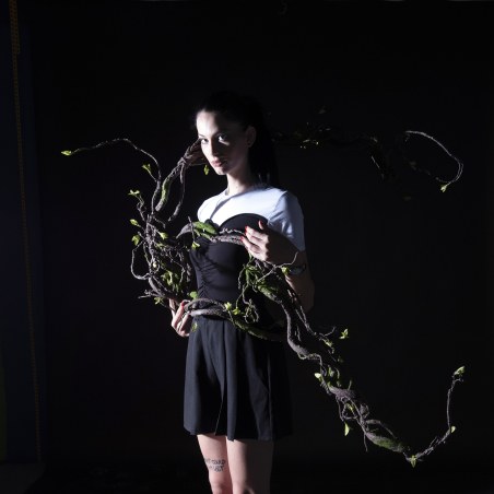 Supergreens Τεχνητή Γιρλάντα Αποξηραμένο Κλαδί Καφέ 200 εκ.