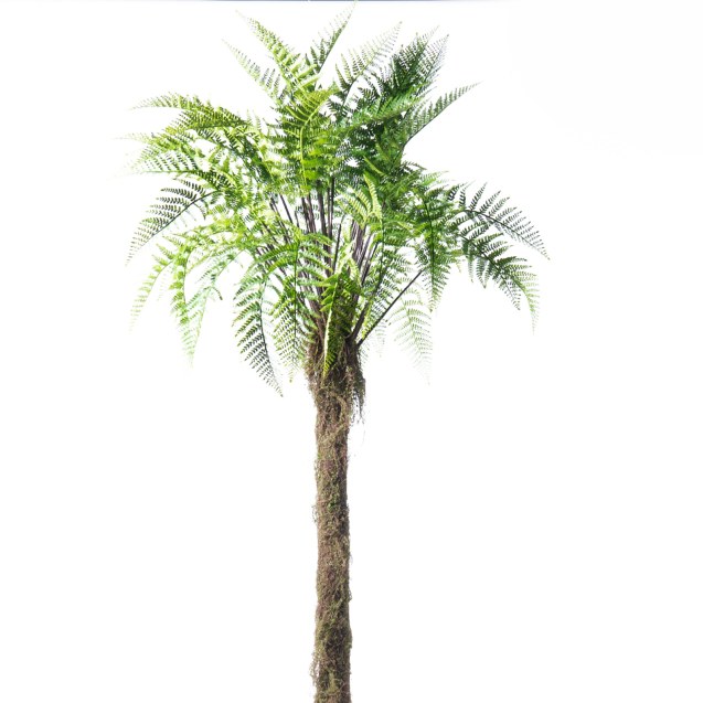 Supergreens Τεχνητο Δέντρο Φτέρη "New Zealand"...