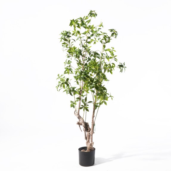 Supergreens Τεχνητο Δέντρο Φίκος "Japonica" Πράσινο 175 εκ.