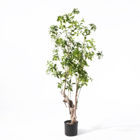 Supergreens Τεχνητο Δέντρο Φίκος "Japonica" Πράσινο 175 εκ.