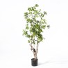Supergreens Τεχνητο Δέντρο Φίκος "Japonica" Πράσινο 175 εκ.