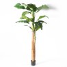 Supergreens Τεχνητο Δέντρο Μπανάνα Πράσινο 320 εκ.