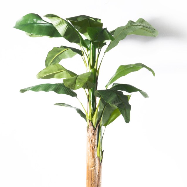 Supergreens Τεχνητο Δέντρο Μπανάνα Πράσινο 320 εκ.