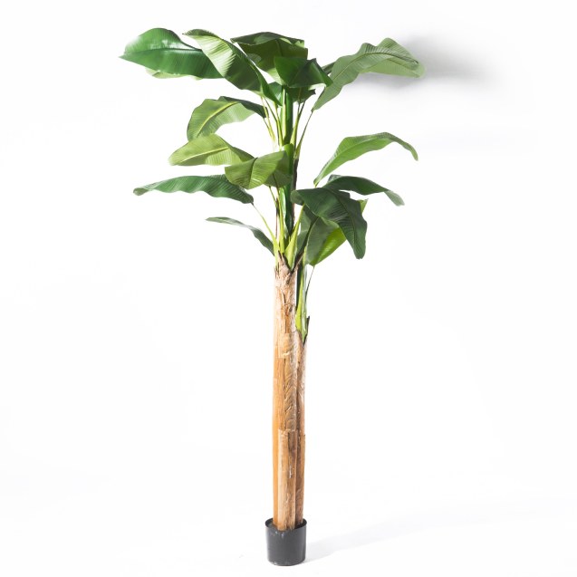 Supergreens Τεχνητο Δέντρο Μπανάνα Πράσινο 280 εκ.