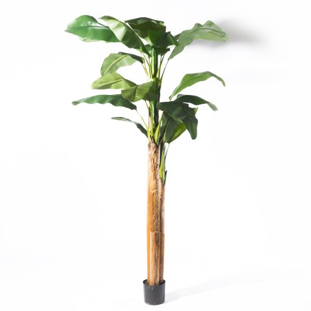 Supergreens Τεχνητο Δέντρο Μπανάνα Πράσινο 240 εκ.